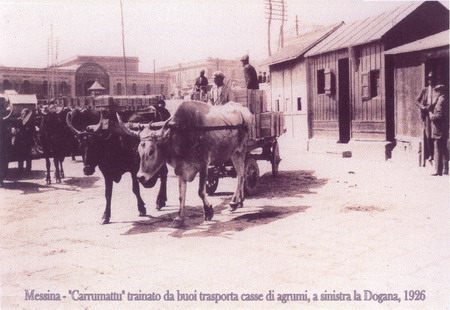 229.1-Carrunattu_trasporta_casse_di_agrumi_a_sinistra_la_Dogana_nel_1926_XX.jpg